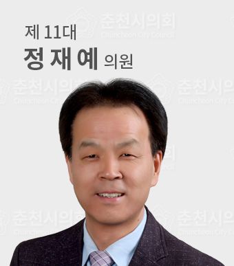 춘천시의원정재예